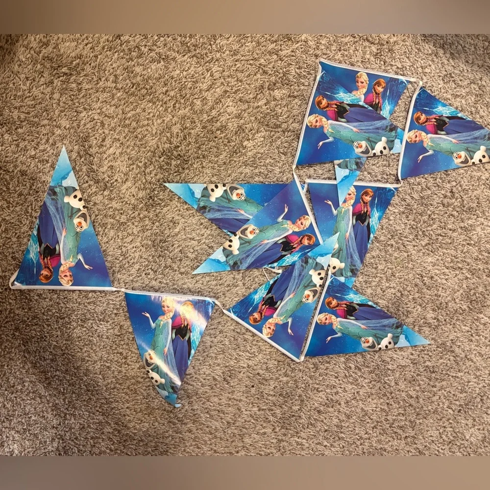 Frozen Themed Party Decorations and Supplies